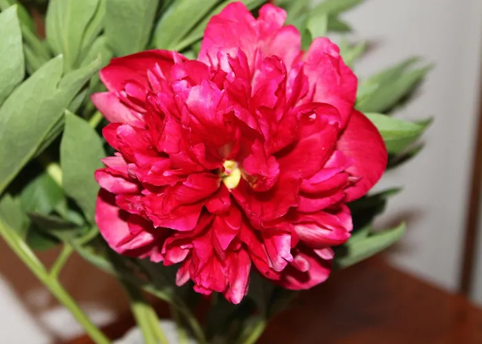 Hotel Albula Bergün