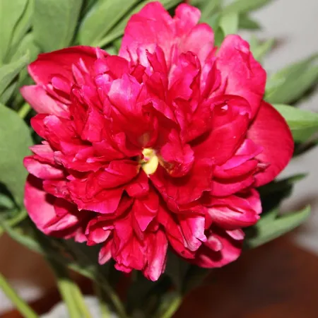 Hotel Albula Bergün