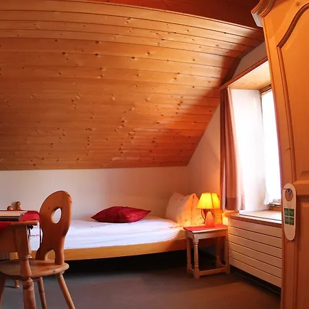Hotel Albula 3*