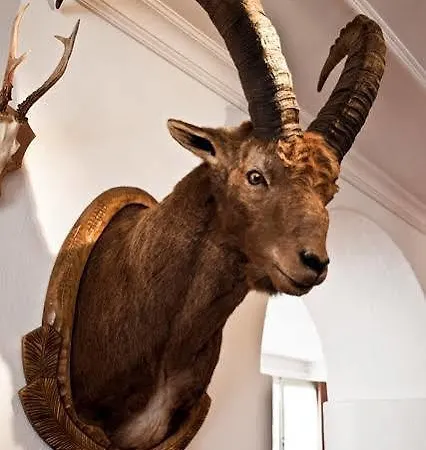 Hotel Albula